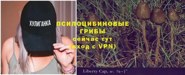 амфетамин Алексин