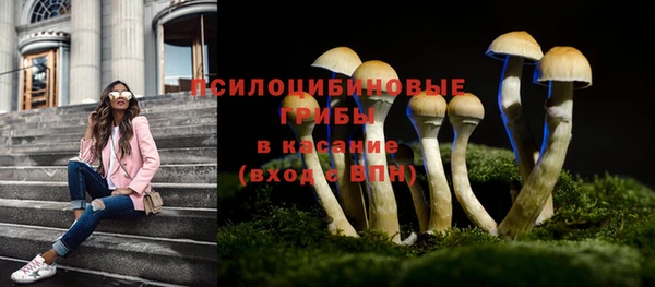 твердый Алексеевка