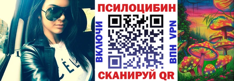 мега как войти  Макушино  Галлюциногенные грибы Psilocybe  где найти наркотики 